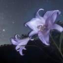 真夜中の微熱