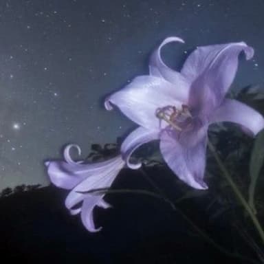 真夜中の微熱