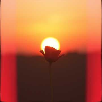 afflicted love 