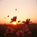 afflicted love