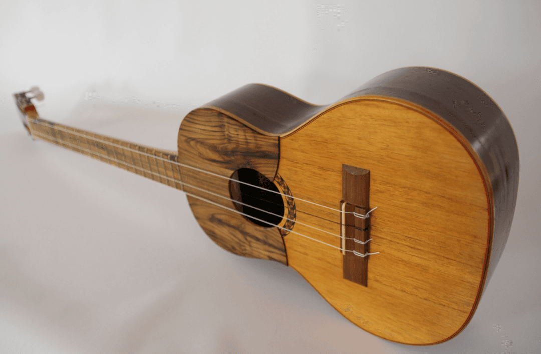 Latin American small four-string guitar family Cuatro